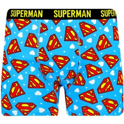 Character Men's boxers Superman Love - Frogies Cene