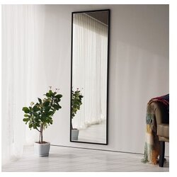 Hanah home cool ayna metal 170x50cm ogledalo Cene