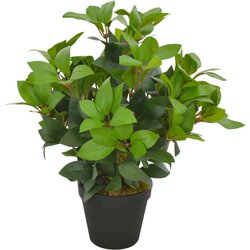 vidaXL Umetna rastlina lovorovo drevo z loncem zelena 40 cm, (20696879) Cene