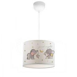 Opviq AYD-2879 multicolor chandelier Cene