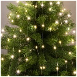 Home ML200/WW Rasvjetna struna sa 200 toplo bijelih LED dioda, prozirna Cijene