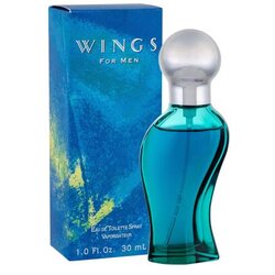 Giorgio Beverly Hills Wings 30 ml toaletna voda za muškarce Cene