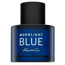Kenneth Cole Moonlight Blue Toaletna voda za moške 100 ml Cene