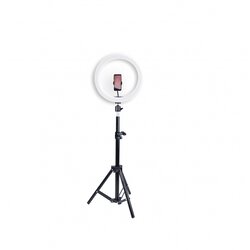 Ring light BRAUN VloggKit 100 Cene
