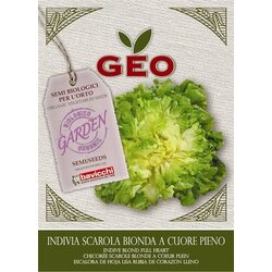 Bavicchi Ekološka endivija "blond" Cene