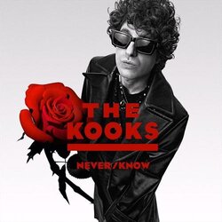 The Kooks Never/Know Cene