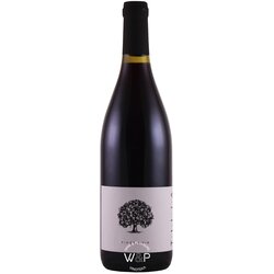TILIA ESTATE tilia pinot noir white label Cene