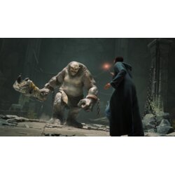 Warner Bros Hogwarts Legacy (Nintendo Switch) Cene