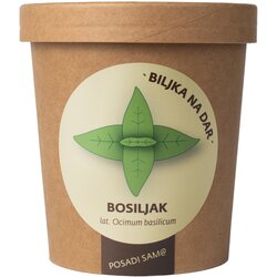 Urbana bašta Biljka na dar Bosiljak Cene