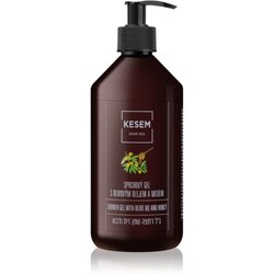 KESEM Sea Salt Oil and Honey gel za tuširanje s maslinovim uljem 500 ml Cene