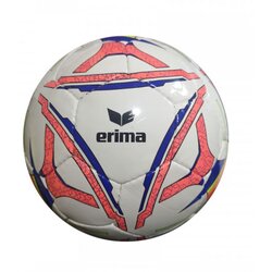 Erima Lopta za fudbal 7191806 Cene