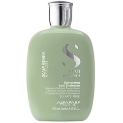 Alfaparf semi di lino scalp renew energizing okrepitveni šampon proti izpadanju las 250 ml za ženske Cene