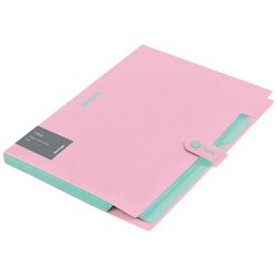 BERLINGO fascikla sa 5 pregrada i kopčom haze 600my roze ( 04CEB327172I ) Cene