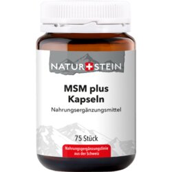 MSM Plus Cene
