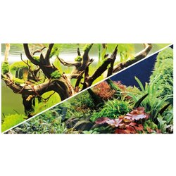 Dohse Hobby poster dvostrani Green Secret/Wood Island 60x30 cm Cene