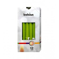Bolsius Svijeća duga 2/1 M55721 Cene