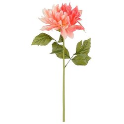 Edelmann Umetna roža Dalija (Roza, Plastika, 61 cm) Cene