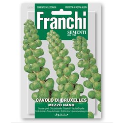 FRANCHI SEMENTI KAPUSNICA BRSTIČNI OHROVT BRUXELLES MEZZO NANO Cene