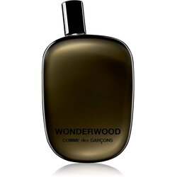 COMME des GARCONS Wonderwood parfumska voda 100 ml za moške Cene