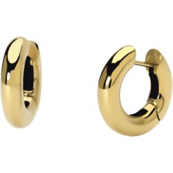 Nakit 2JEWELS NAUŠNICE 261399 Cene