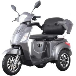 Vigorous Električni mobilni voziček VISTA 1 Barva Siva Baterija Li-ion (Litij-ionska baterija), (5000178026) Cene