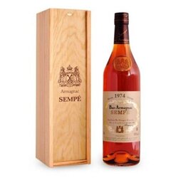 ARMAGNAC Castarede 0.7l 1984 Cene