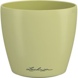 LECHUZA Cvetlični lonec CLASSICO Color 12 DECO - lipa Cene