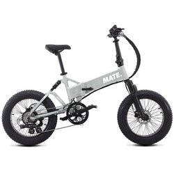 Mate X Evo 250W - Silver Comet Cene