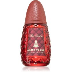 Pino Silvestre Amber Woods toaletna voda 125 ml za moške Cene
