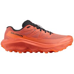 Salomon Ultra Flow 2 patike Cene