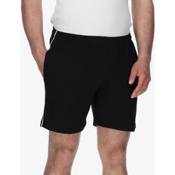 Lotto msc short ii Cene
