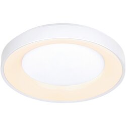 Novel stropna led-svetilka 50/8,5 cm Cene