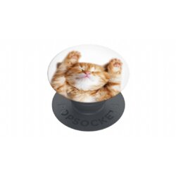 KS popsockets držalo / stojalo popgrip basic - snoozy cat Cene