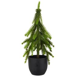 Mömax Umetna Rastlina Tanne I Cene