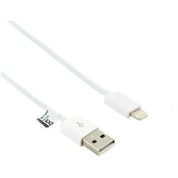 Apple Lightning to USB Cable (1m) Cene