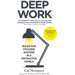Litbrown Cal Newport - Deep Work Cene