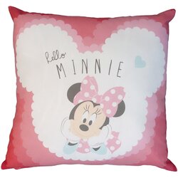 Disney deco Blazine MINNIE Večbarvna Cene