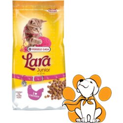 Lara Junior Chicken 2kg, Granule Za Mačiće Za Zdrav Razvoj, Piletina Cene