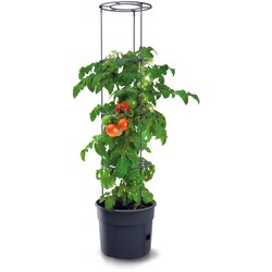 Prosperplast Lonec za gojenje paradižnika s oporo za plezanje - ⌀ 39 cm - 28 l Cene