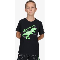 Champion boys dino t-shirt Cene