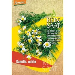 ReinSaat Prava kamilica Cene