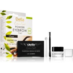 Delia Cosmetics Eyebrow Expert boja za toniranje obrva nijansa 1.0 Black 4 g Cene