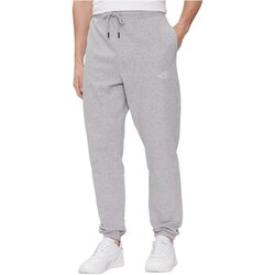 The North Face Spodnji deli trenirke NF0A7ZJBDYX1REG Siva Cene