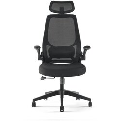 Anji Xinrenjie Furniture daktilo stolica ch stark black mesh - crna Cene