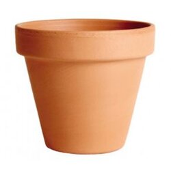 Degrea Cvetlični lonec Arena (15 cm, terakota) Cene