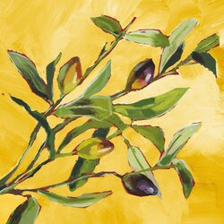 PPD Olive Musée - 33 x 33 cm Cene