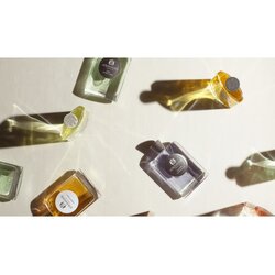 Atkinsons Robinson Bear Eau De Parfum 100 ml (unisex) Cene
