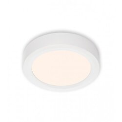 BRILONER Lampa LED nadgradna Fire 12W 7122-016 Cijene