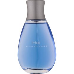 Alfred Sung hei toaletna voda 100 ml za moške Cene