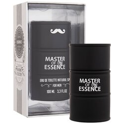 New Brand Parfums Master of Essence toaletna voda 100 ml za muškarce Cene